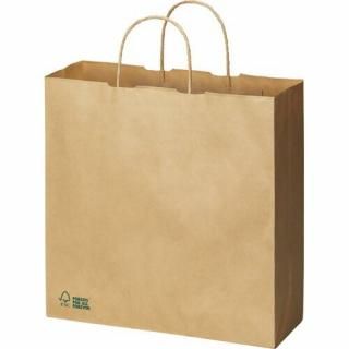 カウネット　丸紐手提げ袋　森林認証　茶（未晒）　Ｍ　５０枚　３６９４－３３７１
