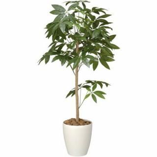 アートクリエイション　人工植物　パキラトピアリー　高さ１２００ｍｍ　光触媒　Ａ４５０７－１５０