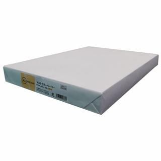 スマートバリュー カラーペーパーA3 クリーム 500枚 A266J-2入数：　1