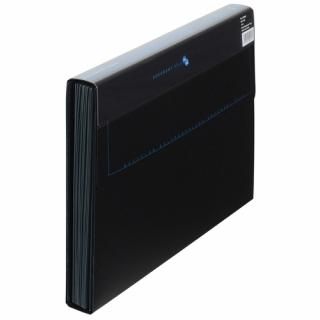 プラス ＰＰドキュメントファイル 122DE ブルー入数：　1