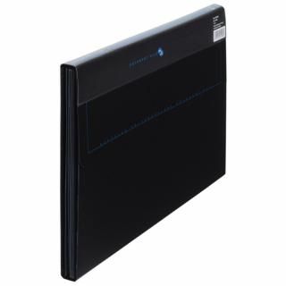 プラス ＰＰドキュメントファイル 121DE ブルー入数：　1