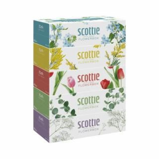 楯쥷åƥƥ塼եȡߣȢ