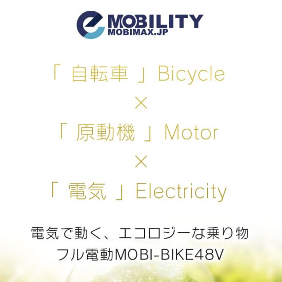 フル電動自転車 MOBI-BIKE 48V