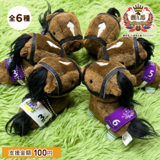 競走馬 - グッズを買って引退馬支援 | 馬site(ウマサイト)