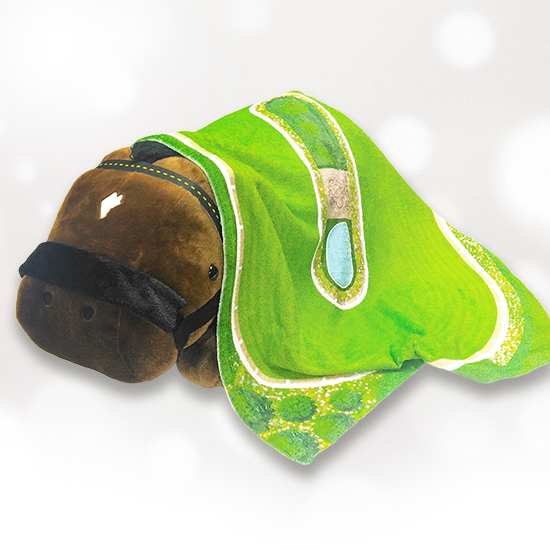 ブランケットイメージ4