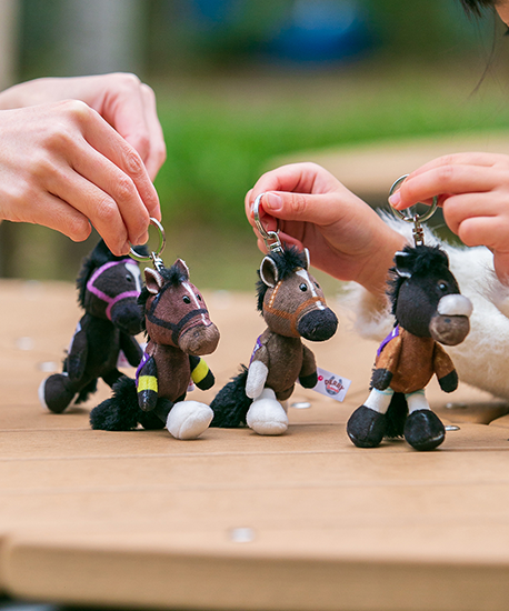 【NICI(ニキ)】 ダービー