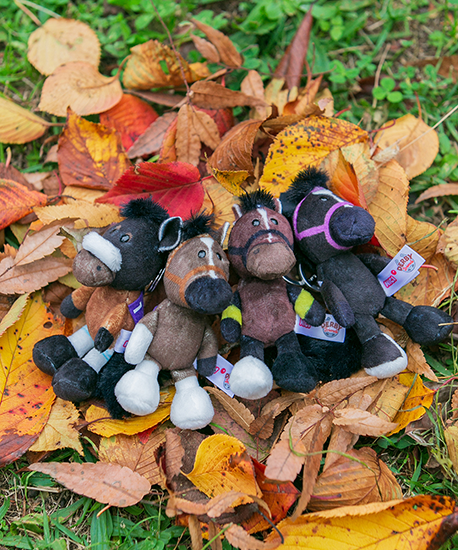 【NICI(ニキ)】 ダービー