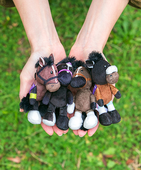 【NICI(ニキ)】 ダービー