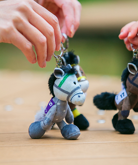 【NICI(ニキ)】 ダービー