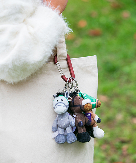 【NICI(ニキ)】 ダービー