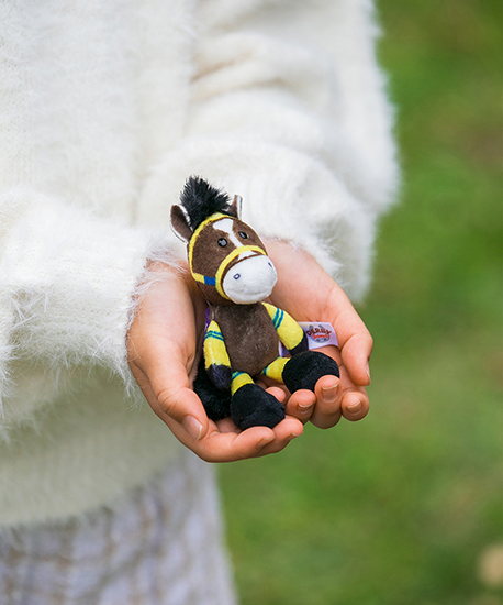 【NICI(ニキ)】 ダービー