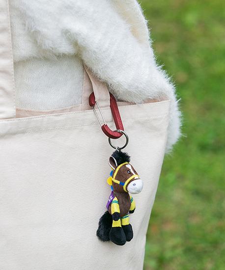 【NICI(ニキ)】 ダービー