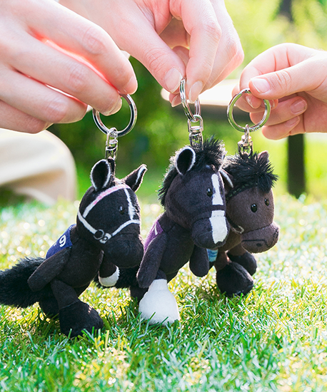 【NICI(ニキ)】 ダービー