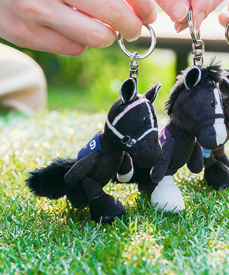 【NICI(ニキ)】 ダービー