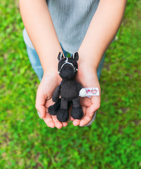 【NICI(ニキ)】 ダービー