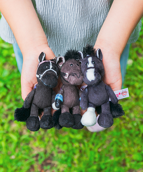 【NICI(ニキ)】 ダービー