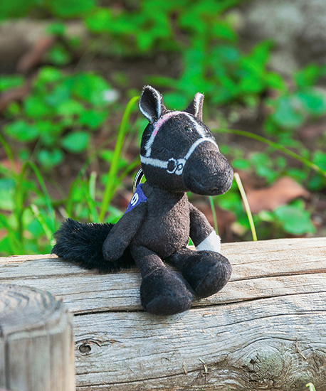 【NICI(ニキ)】 ダービー