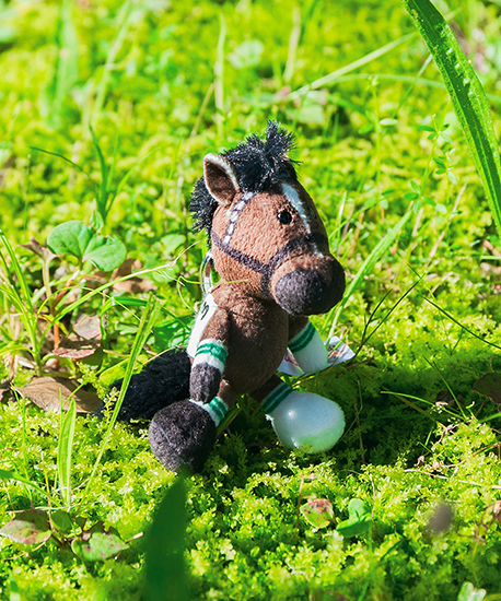 【NICI(ニキ)】 ダービー