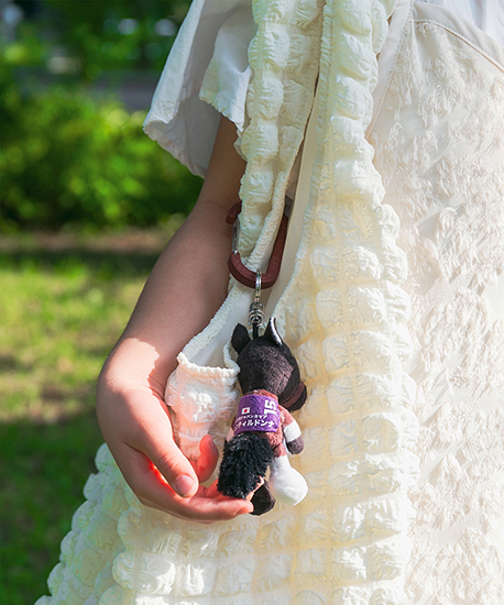 【NICI(ニキ)】 ダービー