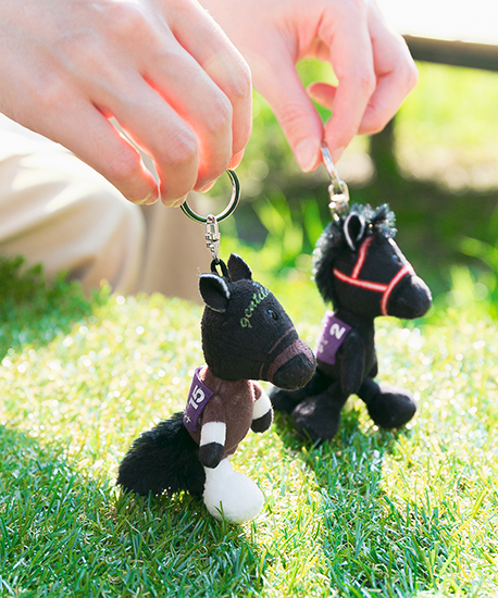 【NICI(ニキ)】 ダービー