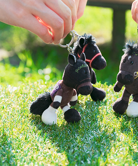 【NICI(ニキ)】 ダービー