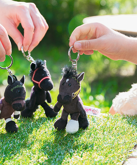 【NICI(ニキ)】 ダービー