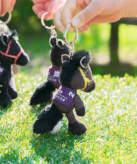 【NICI(ニキ)】 ダービー