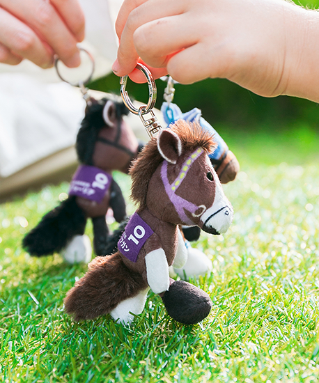 【NICI(ニキ)】 ダービー