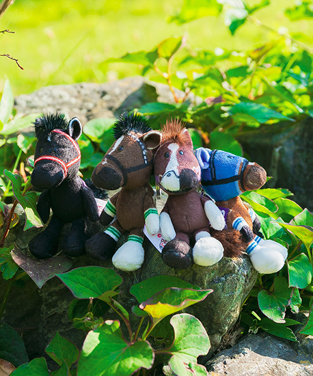 【NICI(ニキ)】 ダービー