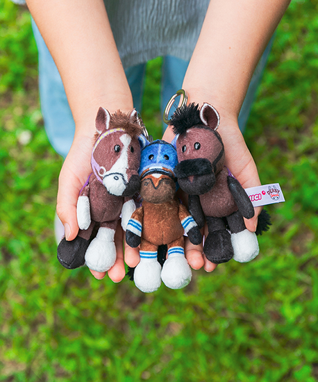 【NICI(ニキ)】 ダービー