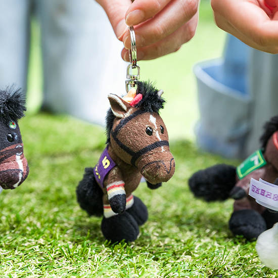 【NICI(ニキ)】 ダービー