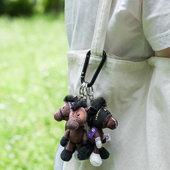 【NICI(ニキ)】 ダービー