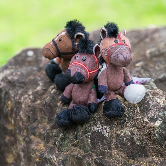 【NICI(ニキ)】 ダービー