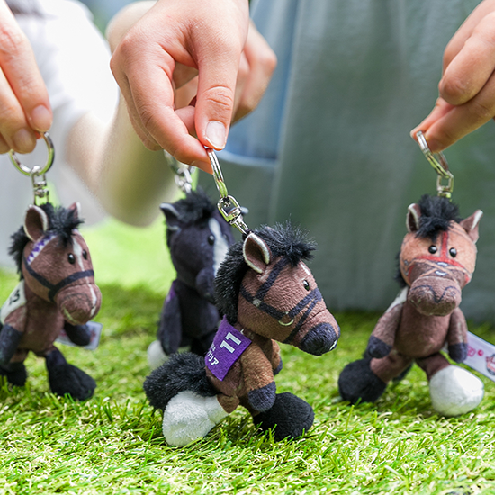 【NICI(ニキ)】 ダービー