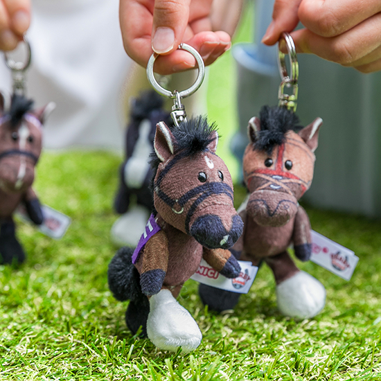 【NICI(ニキ)】 ダービー