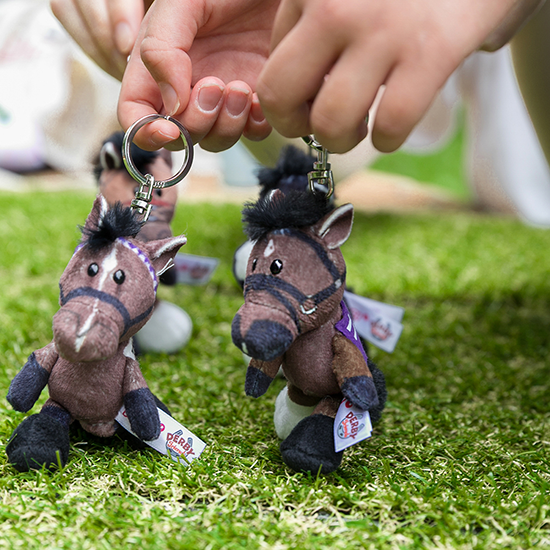 【NICI(ニキ)】 ダービー