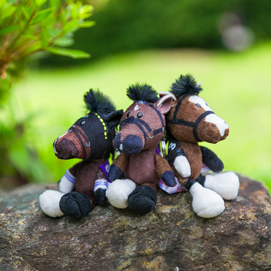 【NICI(ニキ)】 ダービー