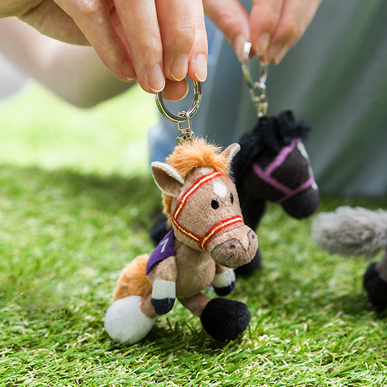 【NICI(ニキ)】 ダービー