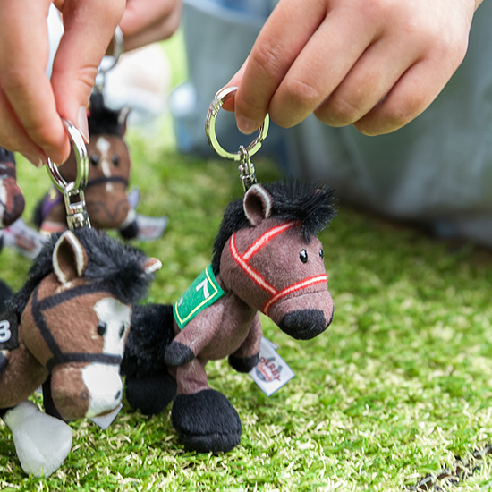 【NICI(ニキ)】 ダービー