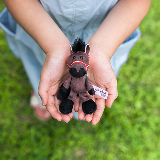 【NICI(ニキ)】 ダービー