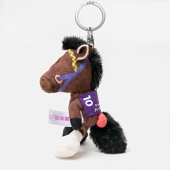 【NICI(ニキ)】 ダービー