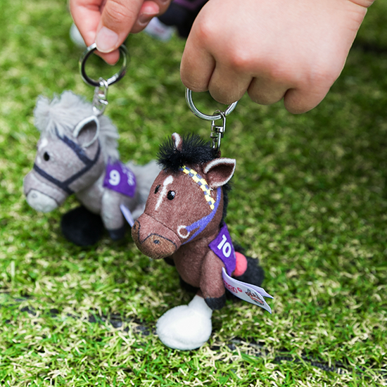 【NICI(ニキ)】 ダービー