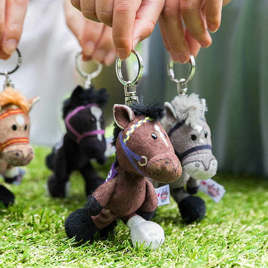 【NICI(ニキ)】 ダービー