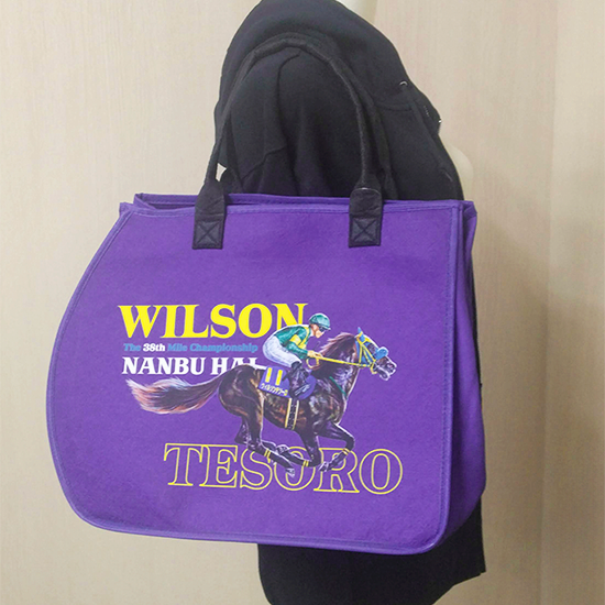 ウィルソンテソーロ/ゼッケン型