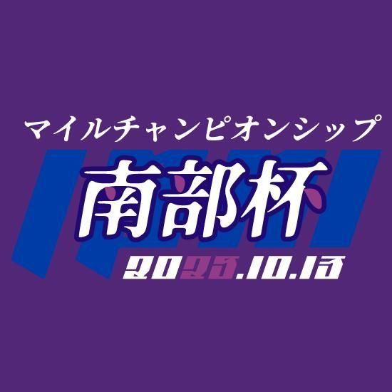 ウィルソンテソーロ/ゼッケン型