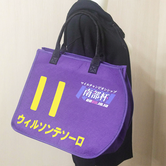 ウィルソンテソーロ/ゼッケン型