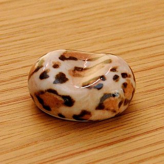 Ʀ  ҥ祦ʥ֥饦 3.3cm ¿ Ȥ֤ ֥饦 ѥ ̳ Ȥޤ YK-ho0062-leopardb