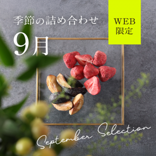 9WEBꥻåȡ
