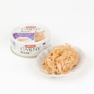 アニモンダ カーニー オーシャン ツナ・レッドスナッパー ウェットフード 80g 1個