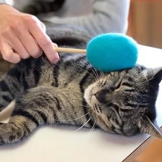 ͥȥȥ NEKOKURA MARKET ǭ  1